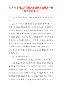2025年市局主要负责人推进法治建设第一责任人述法报告