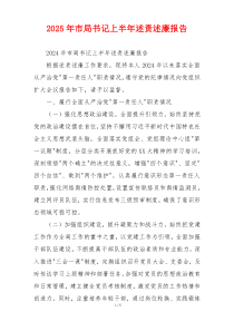 2025年市局书记上半年述责述廉报告