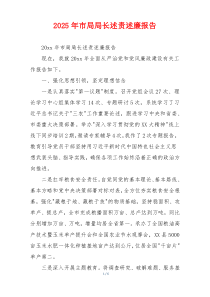 2025年市局局长述责述廉报告