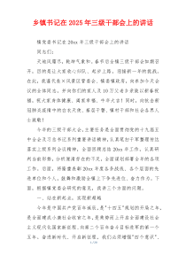 乡镇书记在2025年三级干部会上的讲话