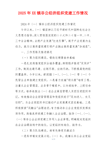 2025年XX镇非公经济组织党建工作情况