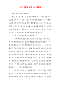2025年度专题述法报告