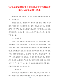 2025年度乡镇街道民主生活会班子检视问题整改方案详情四个带头