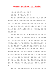 书记在共青团代表大会上的讲话