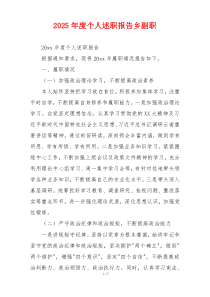 2025年度个人述职报告乡副职