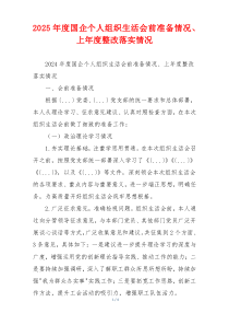 2025年度国企个人组织生活会前准备情况、上年度整改落实情况