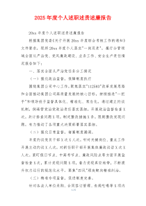 2025年度个人述职述责述廉报告