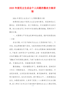 2025年度民主生活会个人问题的整改方案详情
