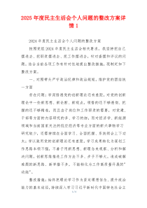 2025年度民主生活会个人问题的整改方案详情1