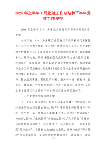 2025年上半年X局党建工作总结和下半年党建工作安排