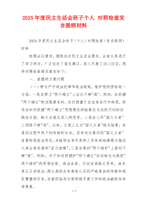 2025年度民主生活会班子个人 对照检查发言提纲材料