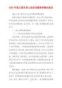 2025年度主要负责人述法问题清单整改报告