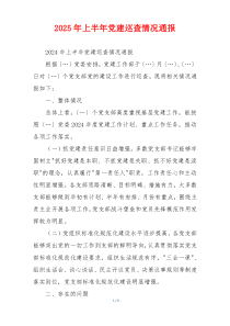 2025年上半年党建巡查情况通报
