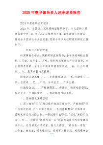 2025年度乡镇负责人述职述责报告