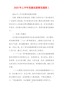2025年上半年党建巡查情况通报1