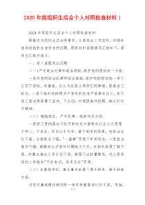 2025年度组织生活会个人对照检查材料1