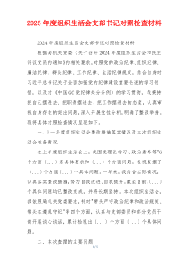 2025年度组织生活会支部书记对照检查材料
