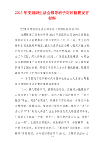 2025年度组织生活会领导班子对照检视发言材料