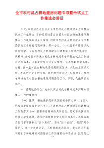全市农村乱占耕地建房问题专项整治试点工作推进会讲话