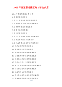 2025年度述职述廉精选多篇