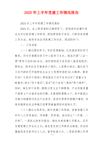 2025年上半年党建工作情况报告