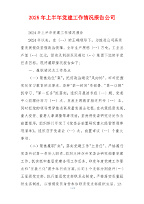 2025年上半年党建工作情况报告公司