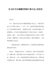 在2025年全镇镇村两级干部大会上的讲话