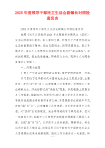 2025年度领导干部民主生活会副镇长对照检查发言