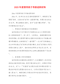 2025年度领导班子考核述职材料