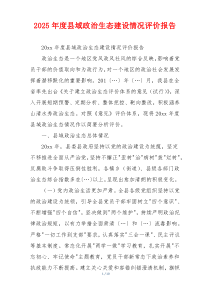 2025年度县域政治生态建设情况评价报告