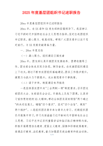 2025年度基层团组织书记述职报告