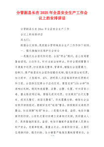 分管副县长在2025年全县安全生产工作会议上的安排讲话