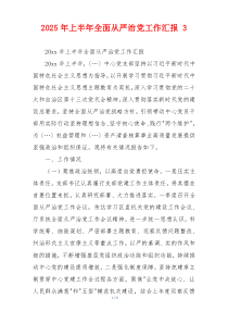2025年上半年全面从严治党工作汇报 3