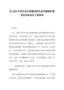 在2025年市生态文明建设和生态环境保护委员会全体会议上的讲话