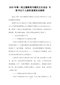 2025年第一批主题教育专题民主生活会 专职书记个人剖析查摆发言提纲