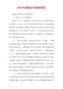 2025年度政法干部述职报告