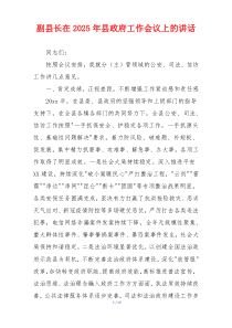 副县长在2025年县政府工作会议上的讲话