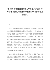 在2025年镇党委理论学习中心组扩大铸牢中华民族共同体意识专题集中学习研讨会上的讲话