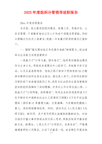 2025年度组织分管领导述职报告