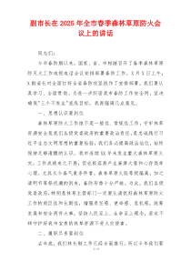 副市长在2025年全市春季森林草原防火会议上的讲话