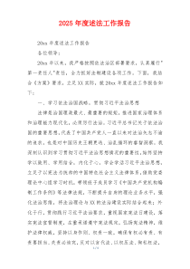 2025年度述法工作报告