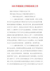 2025年度述法工作报告法治工作