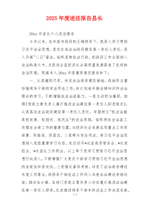 2025年度述法报告县长