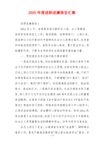 2025年度述职述廉报告汇集