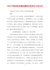 2025年度述职述德述廉报告政府办公室主任