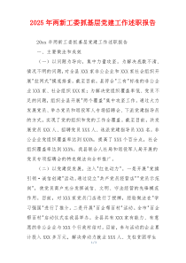 2025年两新工委抓基层党建工作述职报告