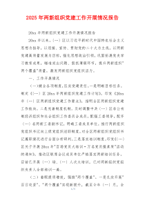 2025年两新组织党建工作开展情况报告