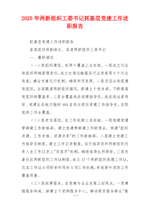 2025年两新组织工委书记抓基层党建工作述职报告