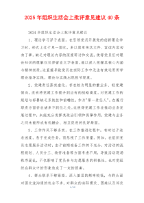 2025年组织生活会上批评意见建议40条