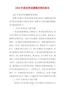 2025年度述责述廉整改情况报告